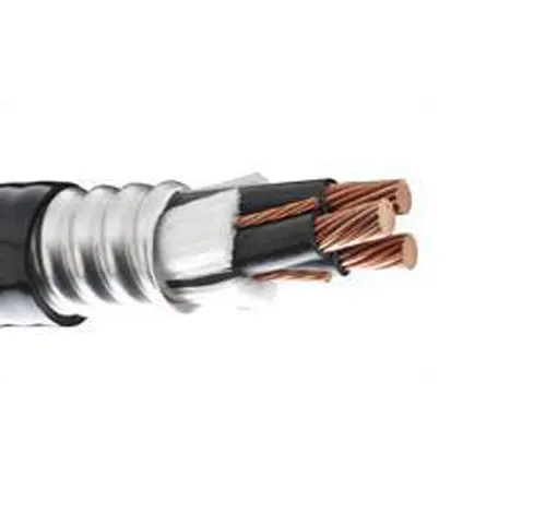 cab-teck-10-2c-600v-per-feet-teck-cables